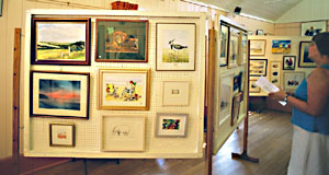 Displays at the village hall