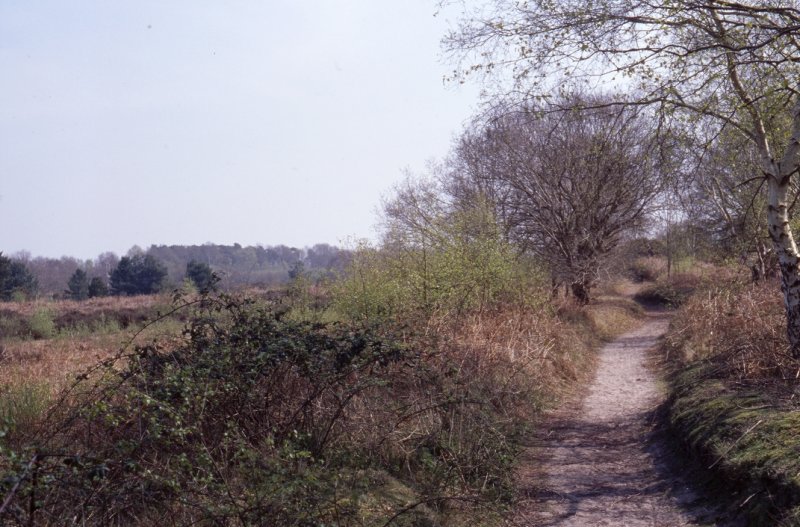 Blaxhall common