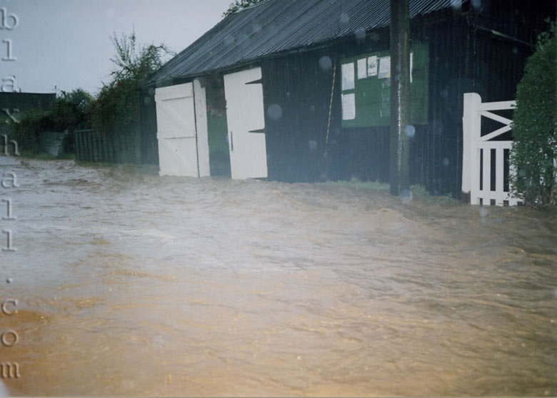Looking out from Ship Cottages