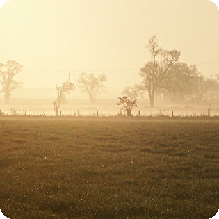 Misty morning over Blaxhall meadows